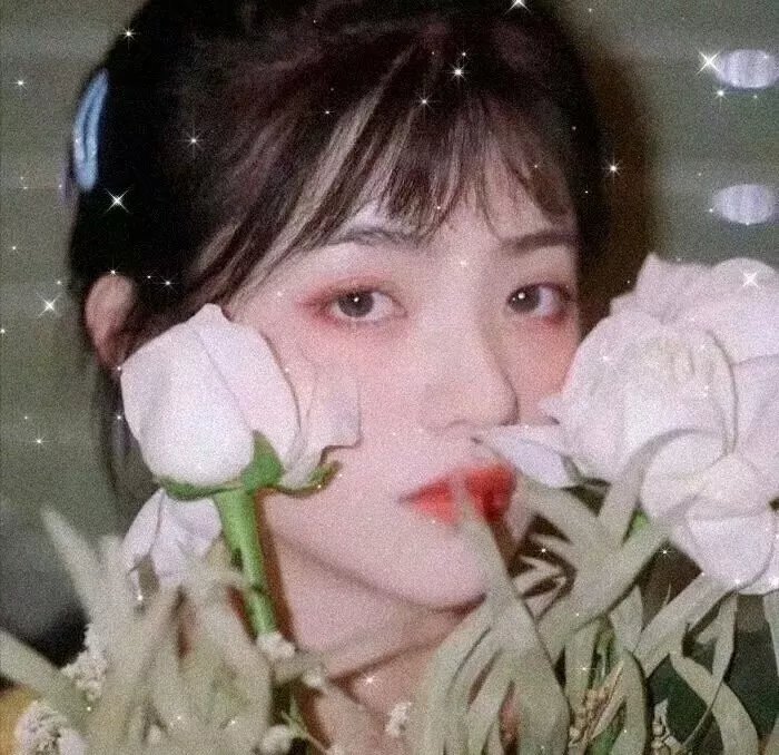 克莱尔的相机